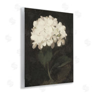 Leah Straatsma | White Geranium Cluster