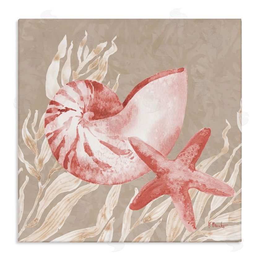 Paul Brent | Peach Tampico Shells