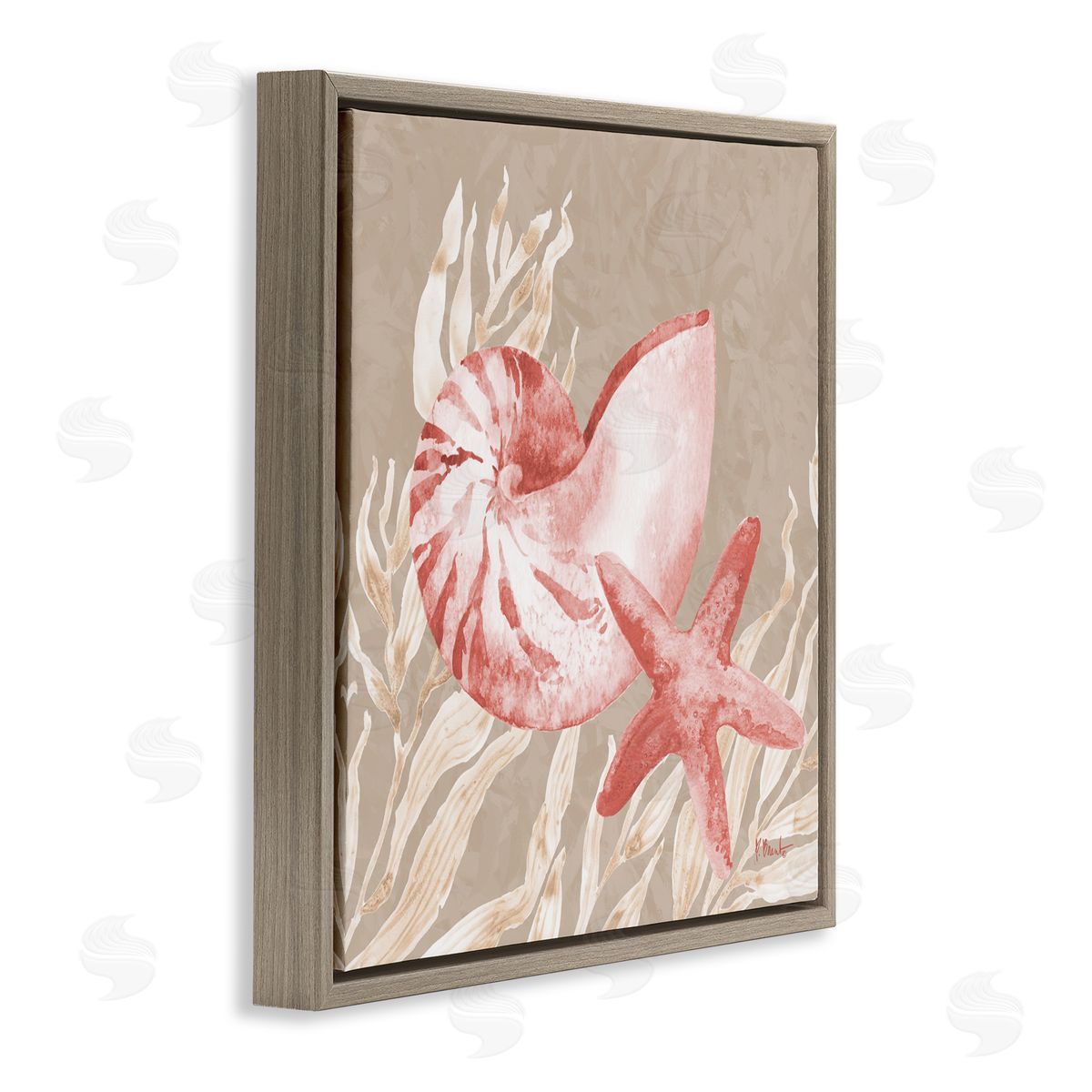 Paul Brent Peach Tampico Shells Brown Floating Frame Canvas Art Print