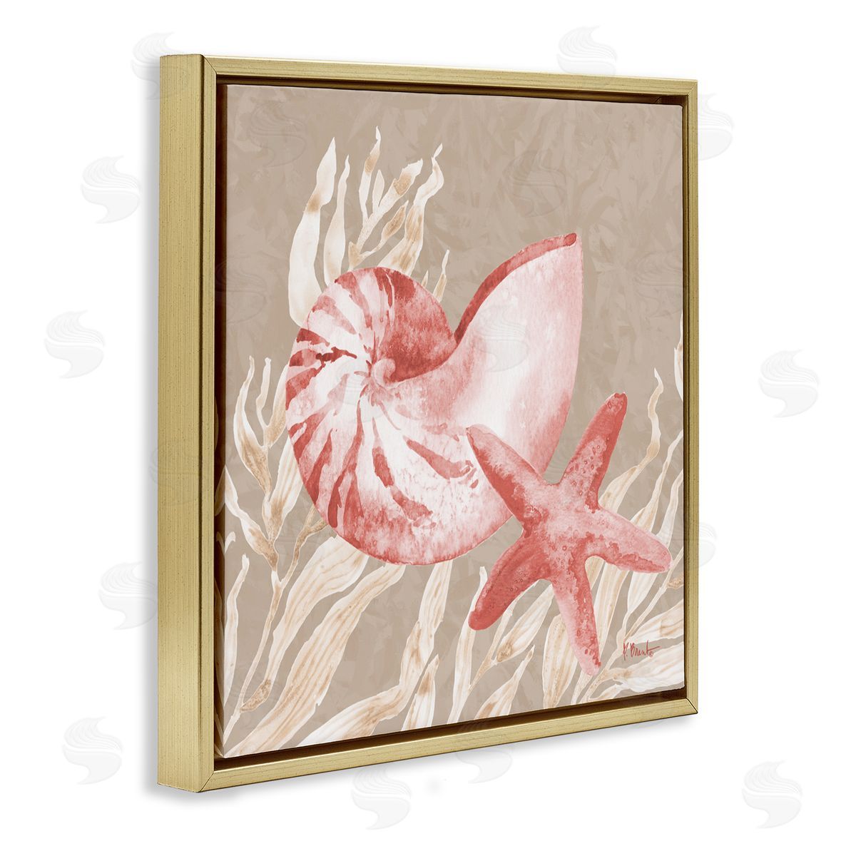 Paul Brent Peach Tampico Shells Gold Floating Frame Canvas Art Print