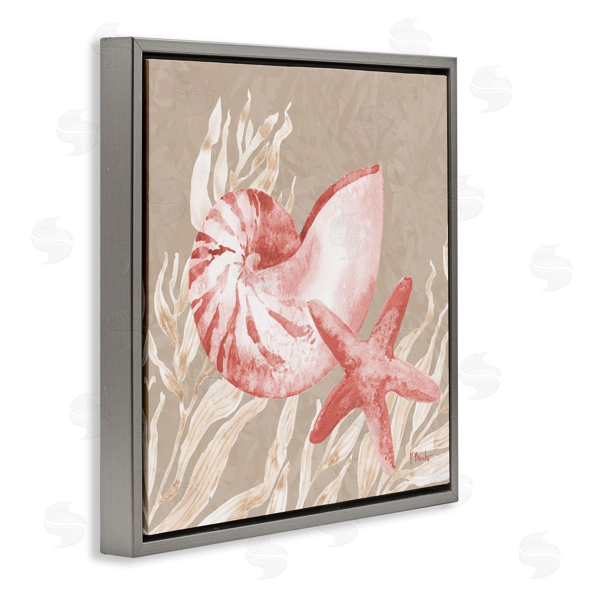 Paul Brent Peach Tampico Shells Gray Floating Frame Canvas Art Print