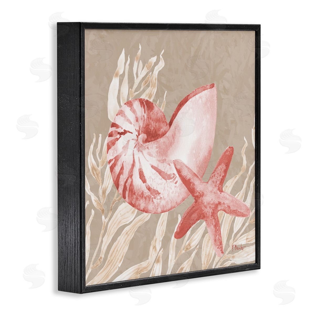 Paul Brent Peach Tampico Shells Black Framed Giclee Art Print