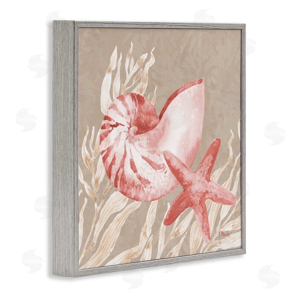 Paul Brent Peach Tampico Shells Gray Framed Giclee Art Print