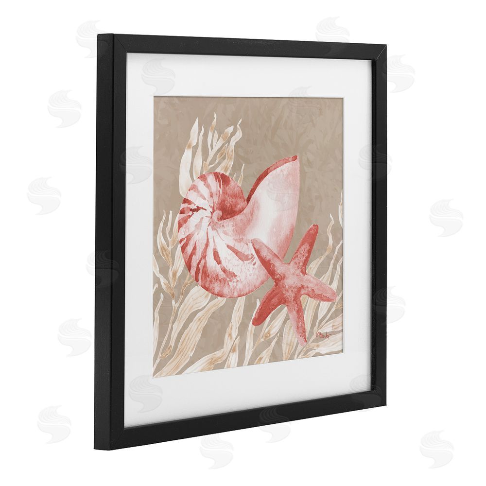 Paul Brent Peach Tampico Shells Black Framed Print Under Glass Art