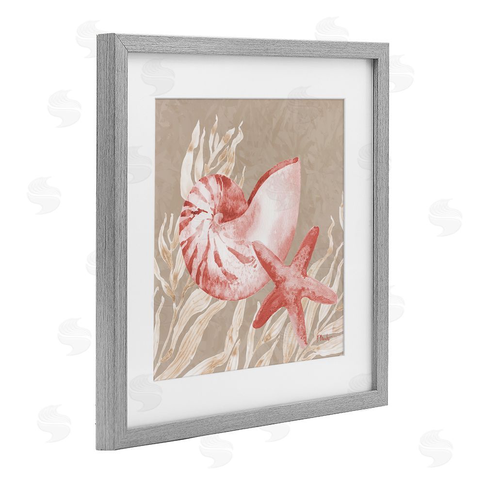 Paul Brent Peach Tampico Shells Gray Framed Print Under Glass Art