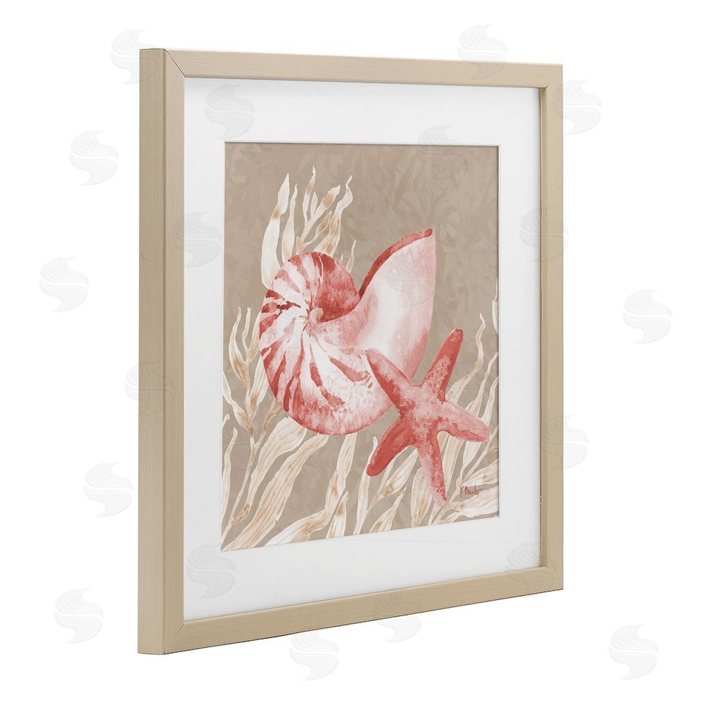 Paul Brent Peach Tampico Shells Birch Framed Print Under Glass Art