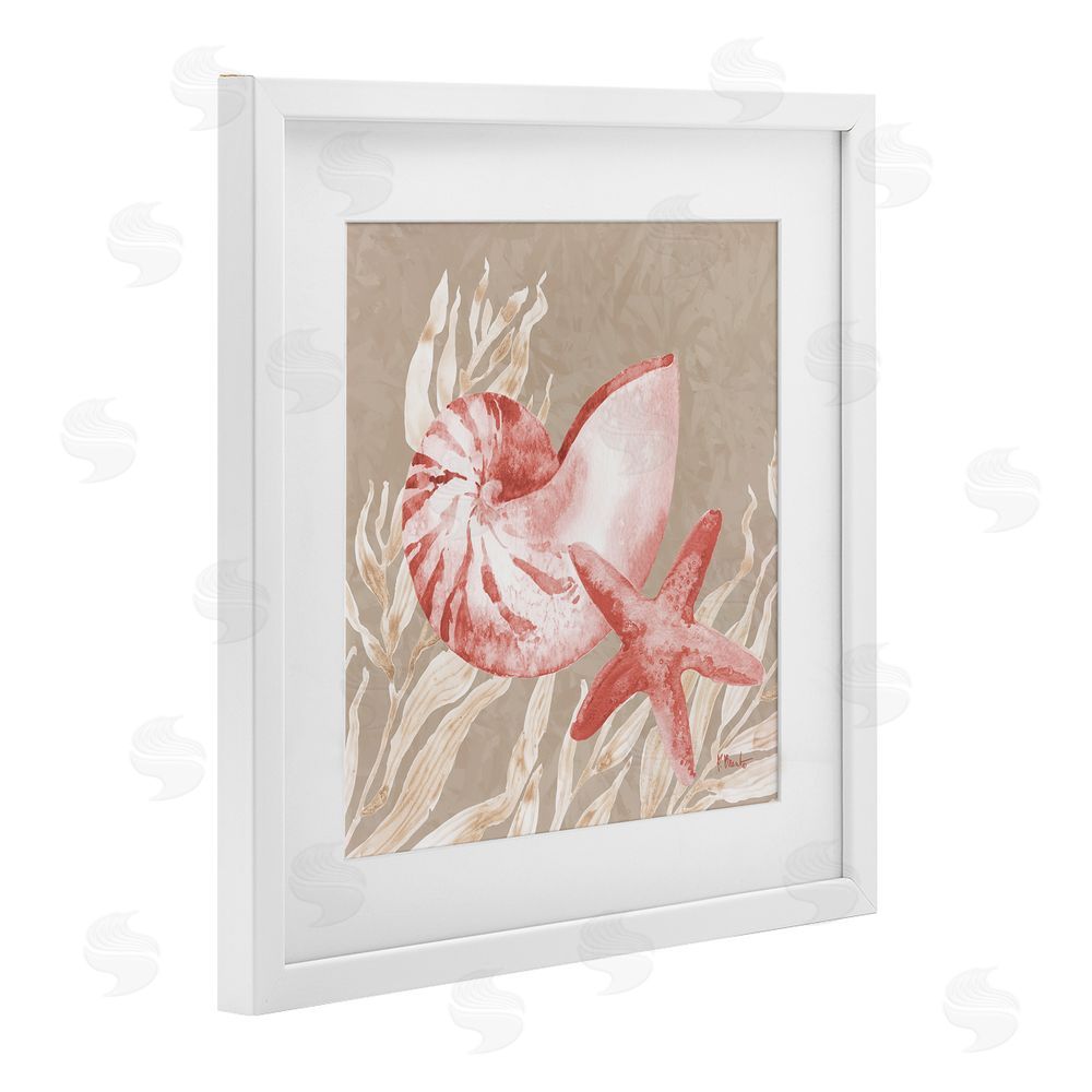 Paul Brent Peach Tampico Shells White Framed Print Under Glass Art