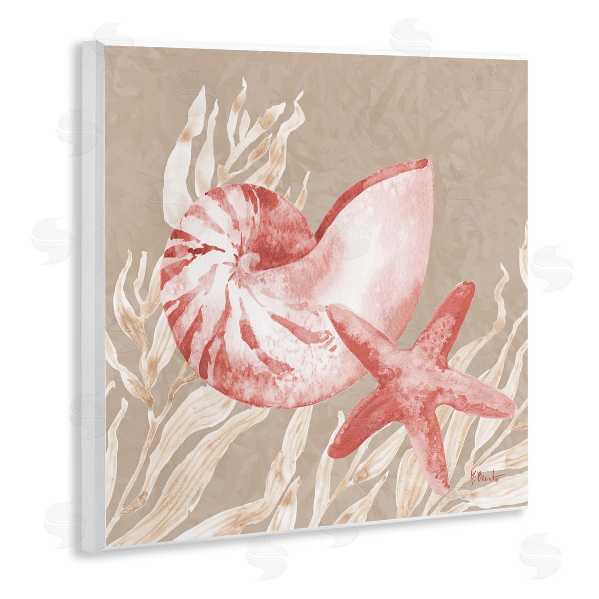 Paul Brent Peach Tampico Shells Wall Plaque Art Print