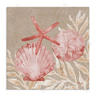 Paul Brent | Tampico Shells & Starfish