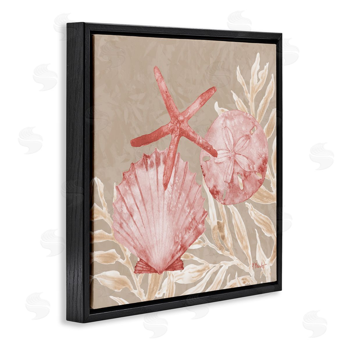 Paul Brent Tampico Shells & Starfish Black Floating Frame Canvas Wall Art Print
