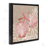 Paul Brent | Tampico Shells & Starfish