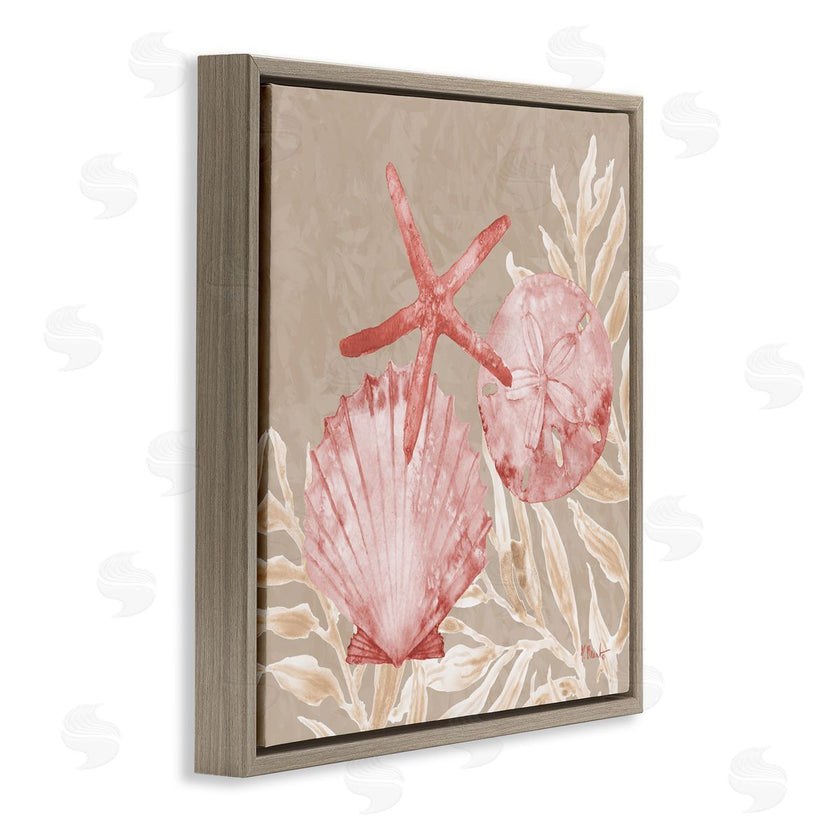 Paul Brent | Tampico Shells & Starfish