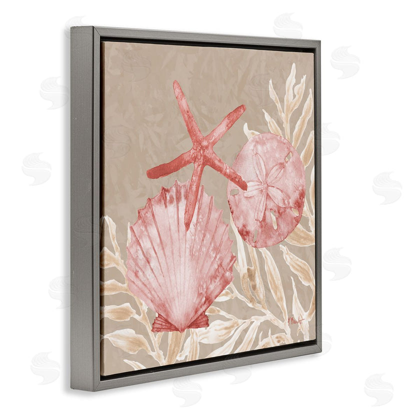 Paul Brent | Tampico Shells & Starfish