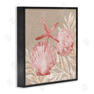 Paul Brent | Tampico Shells & Starfish