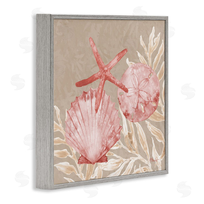 Paul Brent | Tampico Shells & Starfish