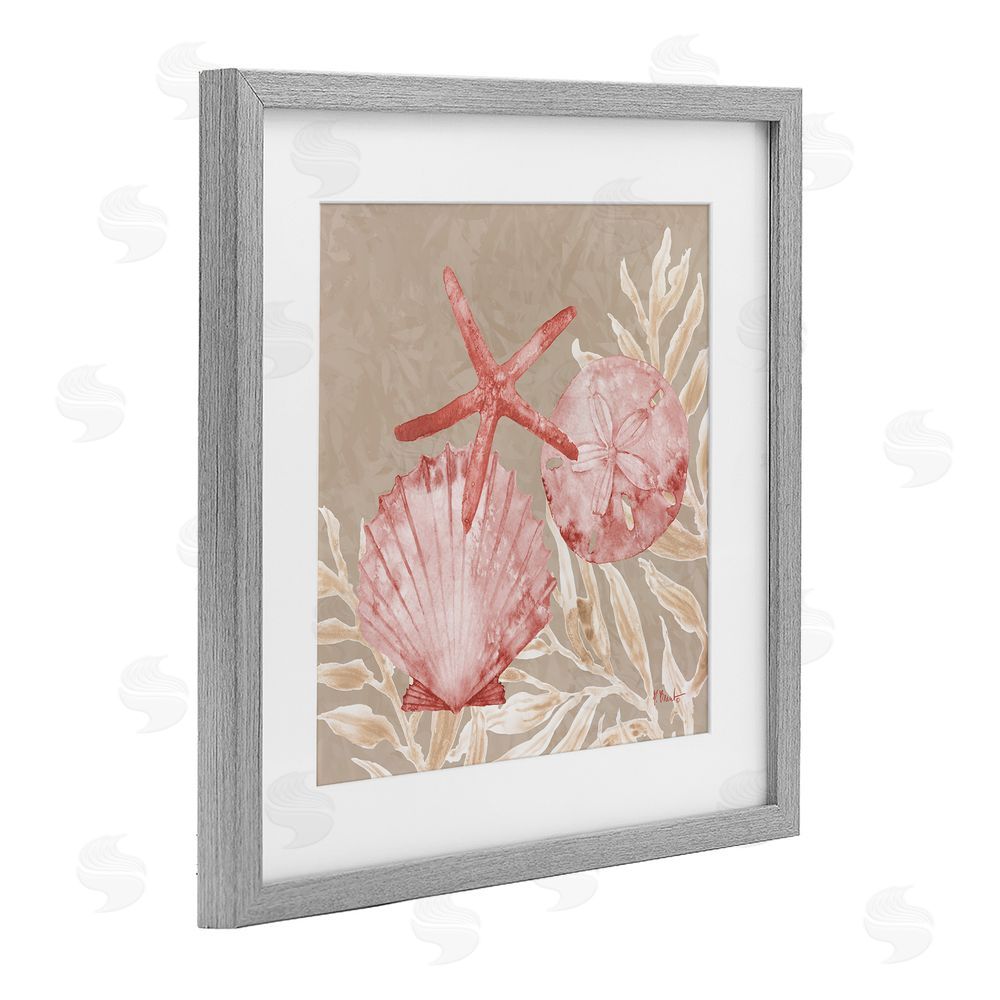 Paul Brent Tampico Shells & Starfish Gray Framed Print Under Glass Art