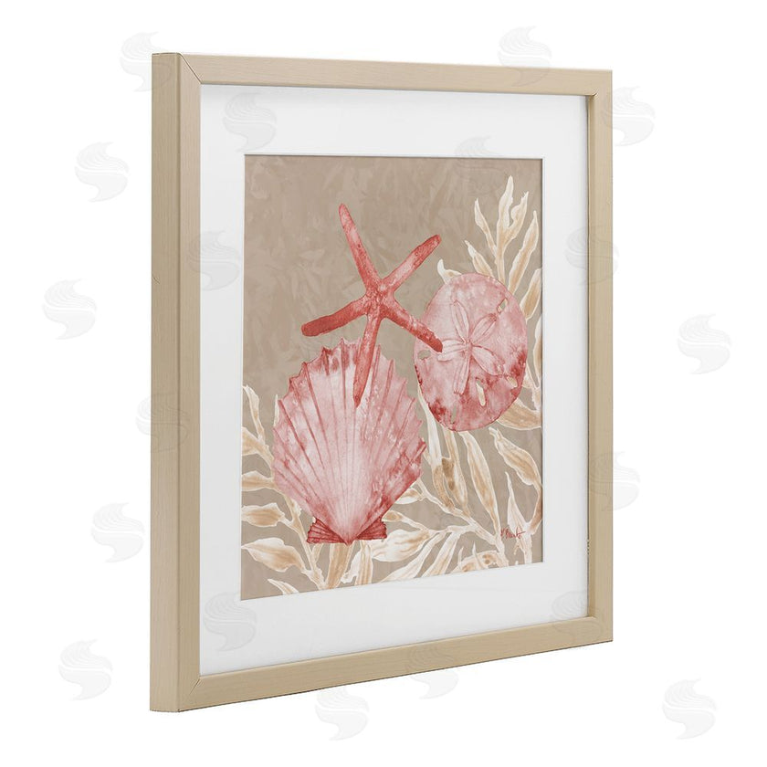 Paul Brent | Tampico Shells & Starfish