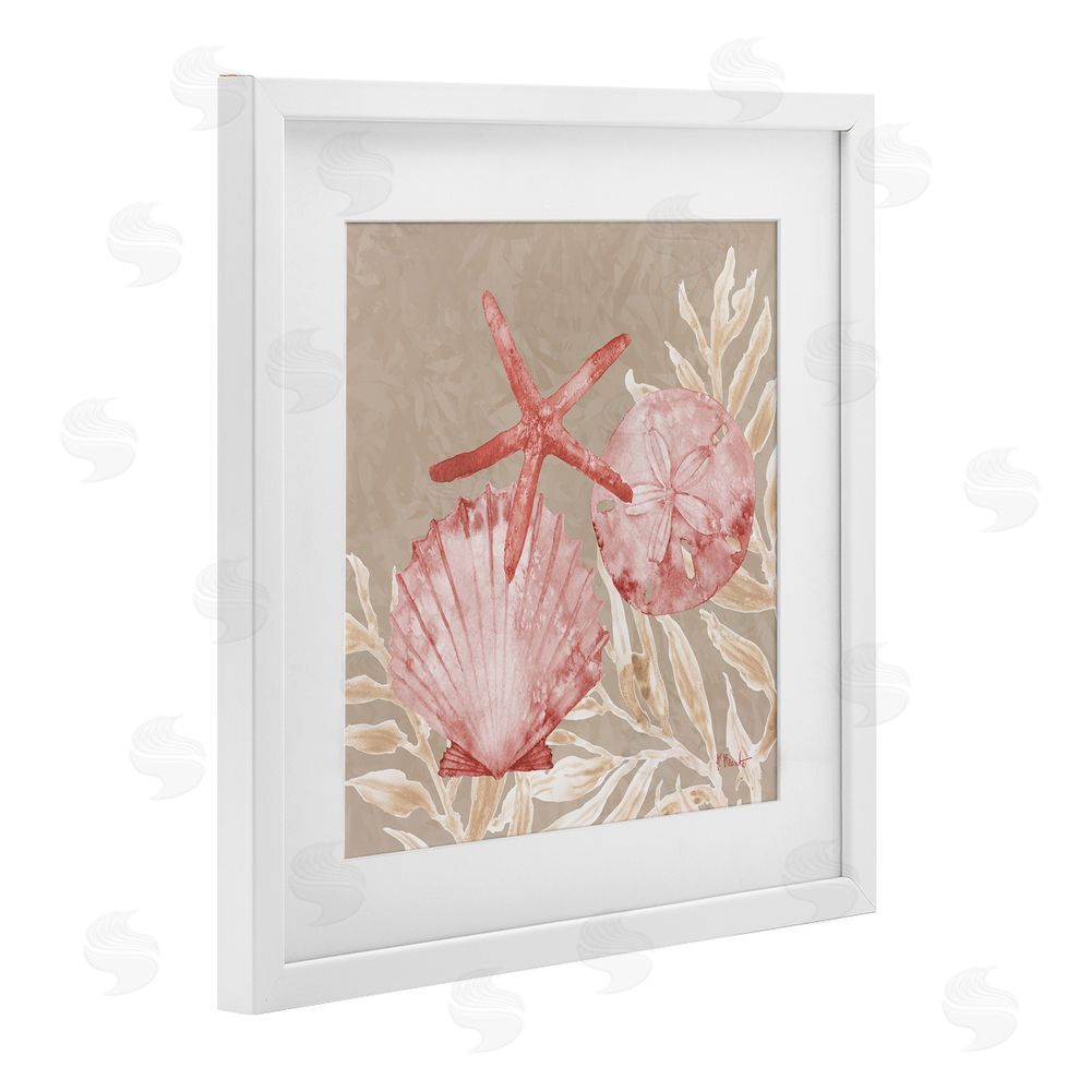 Paul Brent Tampico Shells & Starfish White Framed Print Under Glass Art