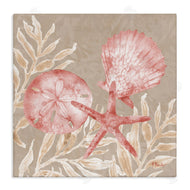 Paul Brent | Tampico Shells & Sand Dollar