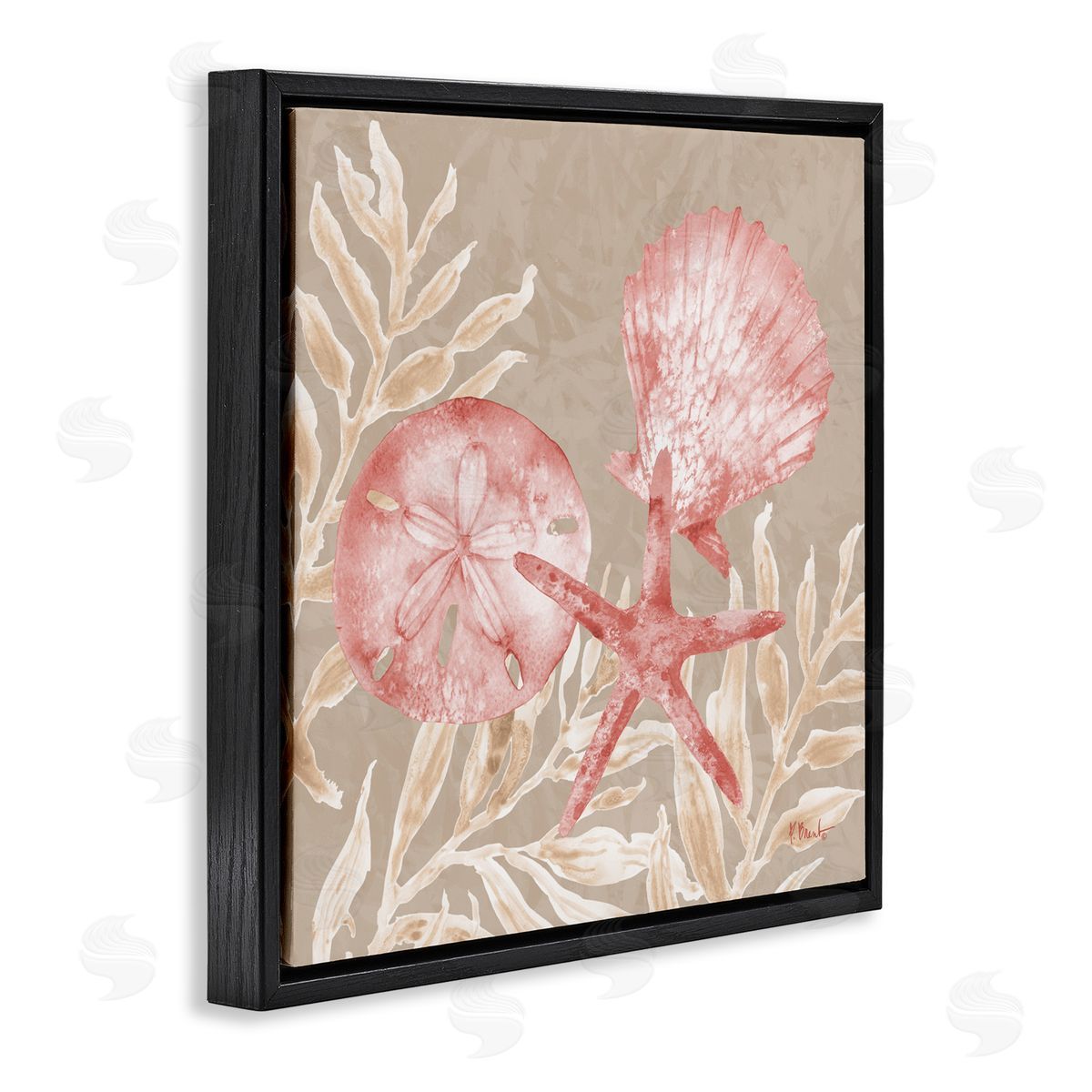 Paul Brent Tampico Shells & Sand Dollar Black Floating Frame Canvas Wall Art Print
