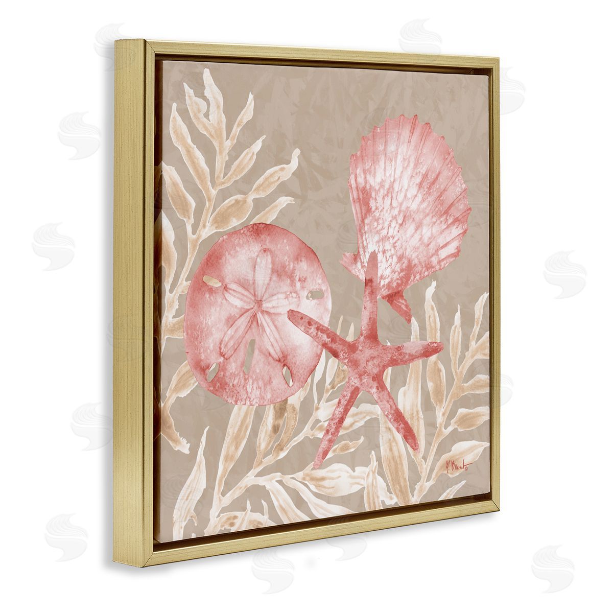 Paul Brent Tampico Shells & Sand Dollar Gold Floating Frame Canvas Art Print
