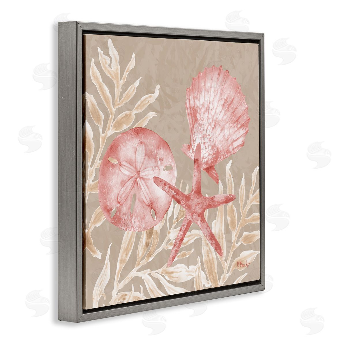 Paul Brent Tampico Shells & Sand Dollar Gray Floating Frame Canvas Art Print