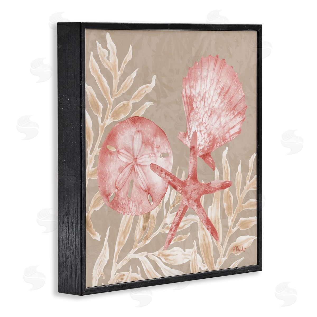 Paul Brent Tampico Shells & Sand Dollar Black Framed Giclee Art Print