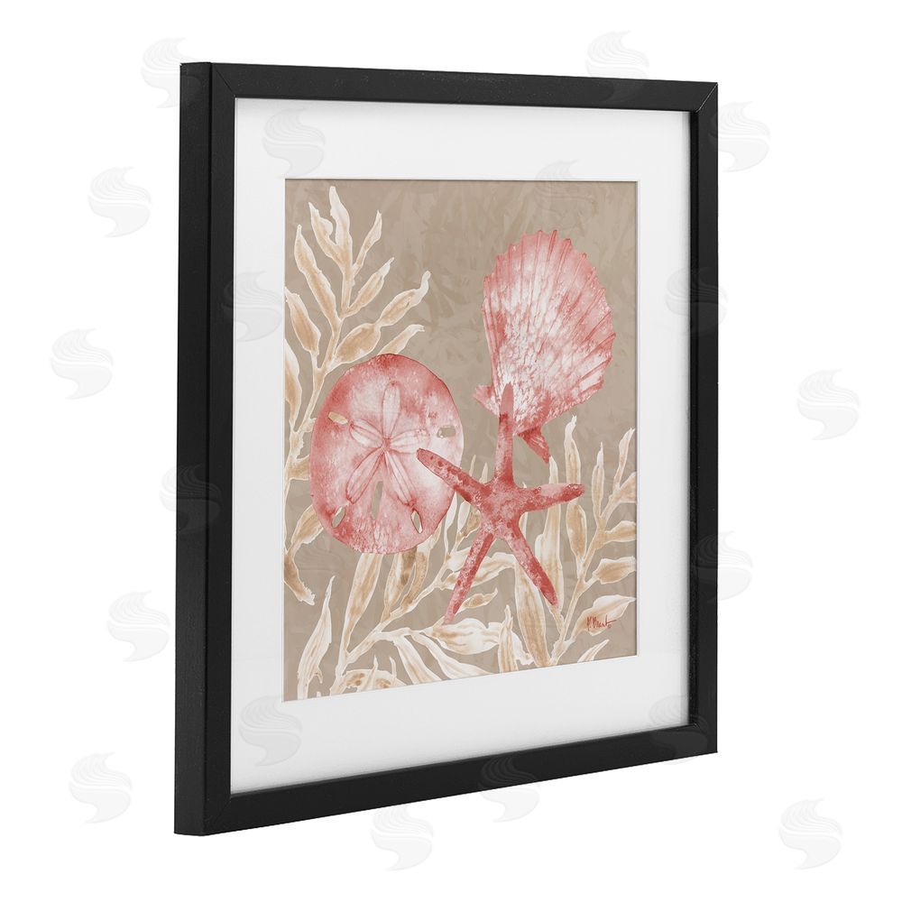 Paul Brent Tampico Shells & Sand Dollar Black Framed Print Under Glass Art