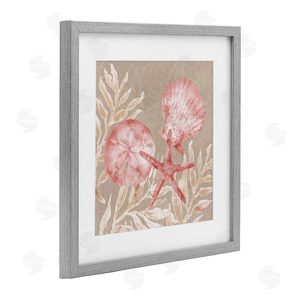 Paul Brent Tampico Shells & Sand Dollar Gray Framed Print Under Glass Art