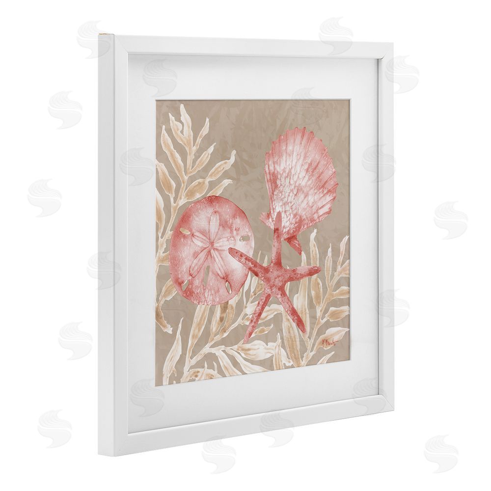 Paul Brent Tampico Shells & Sand Dollar White Framed Print Under Glass Art