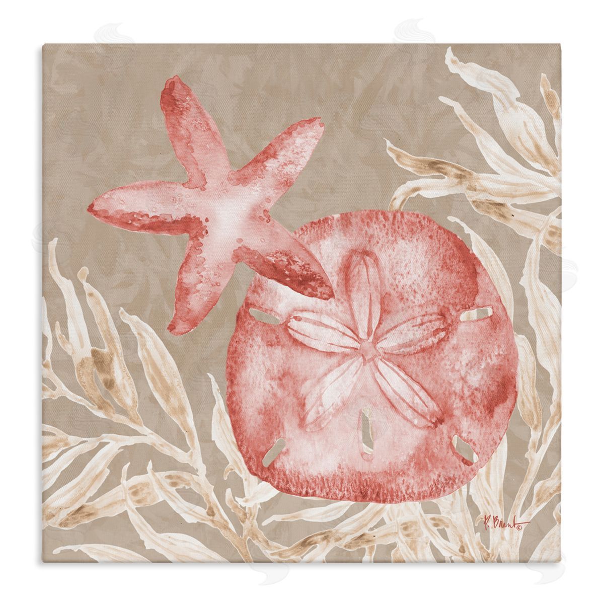 Paul Brent Tampico Starfish and Sand Dollar Canvas Wall Art Print