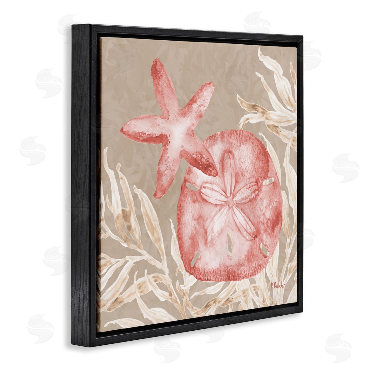 Paul Brent Tampico Starfish and Sand Dollar Black Floating Frame Canvas Wall Art Print