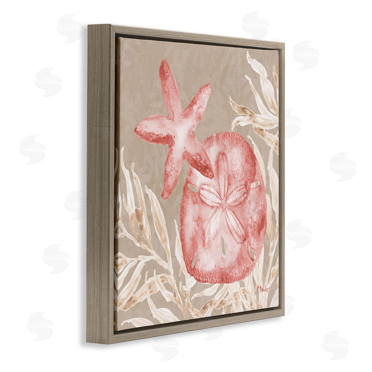 Paul Brent Tampico Starfish and Sand Dollar Brown Floating Frame Canvas Art Print