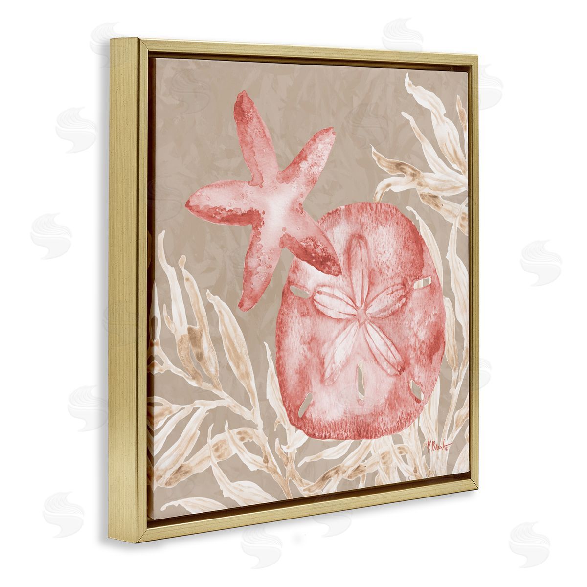 Paul Brent Tampico Starfish and Sand Dollar Gold Floating Frame Canvas Art Print
