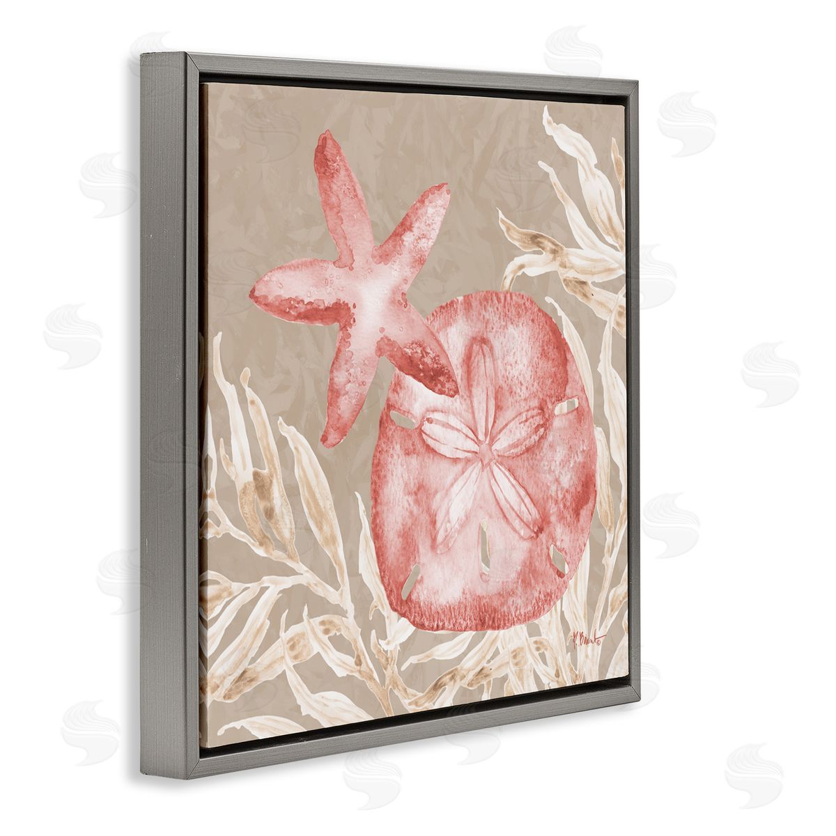Paul Brent Tampico Starfish and Sand Dollar Gray Floating Frame Canvas Art Print