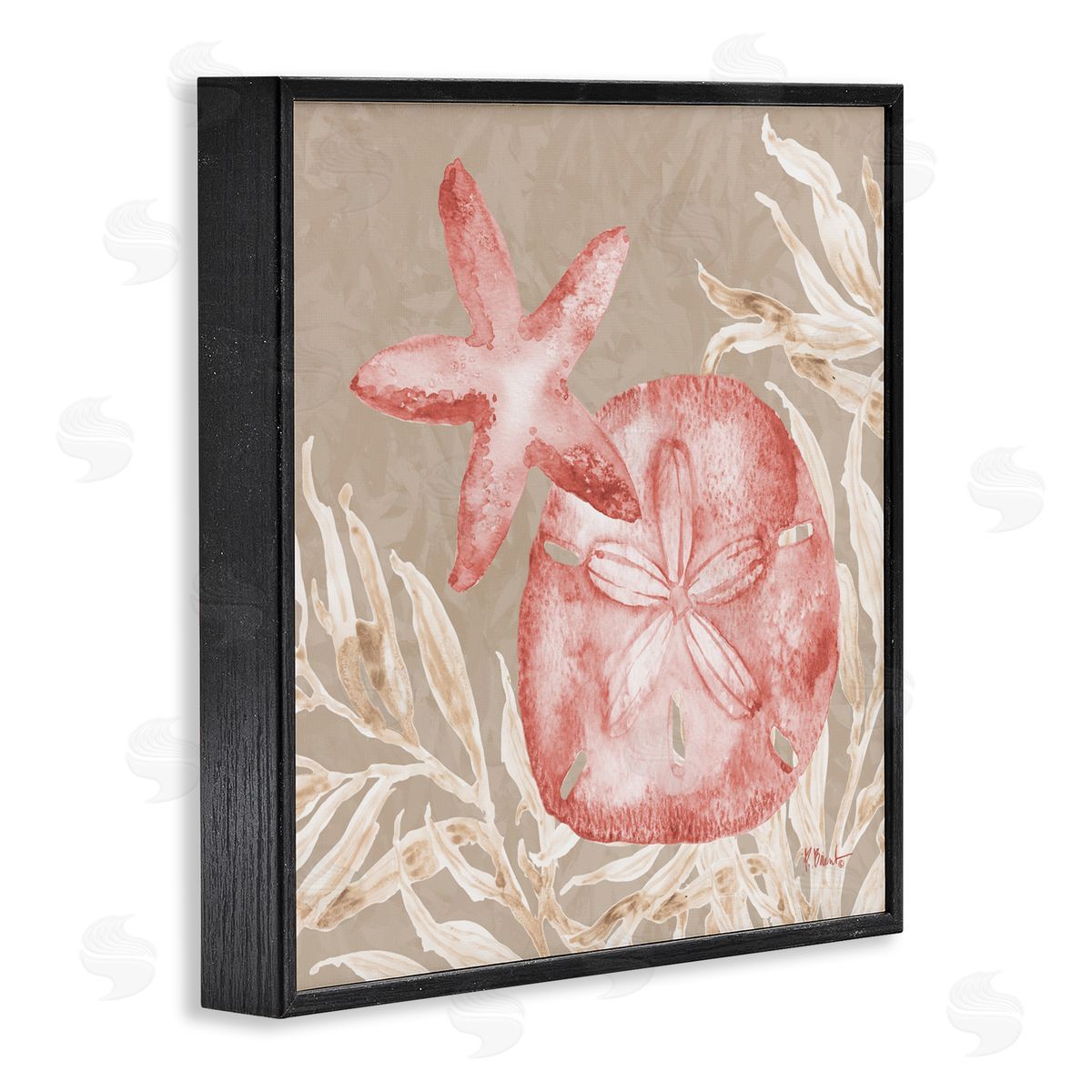 Paul Brent Tampico Starfish and Sand Dollar Black Framed Giclee Art Print
