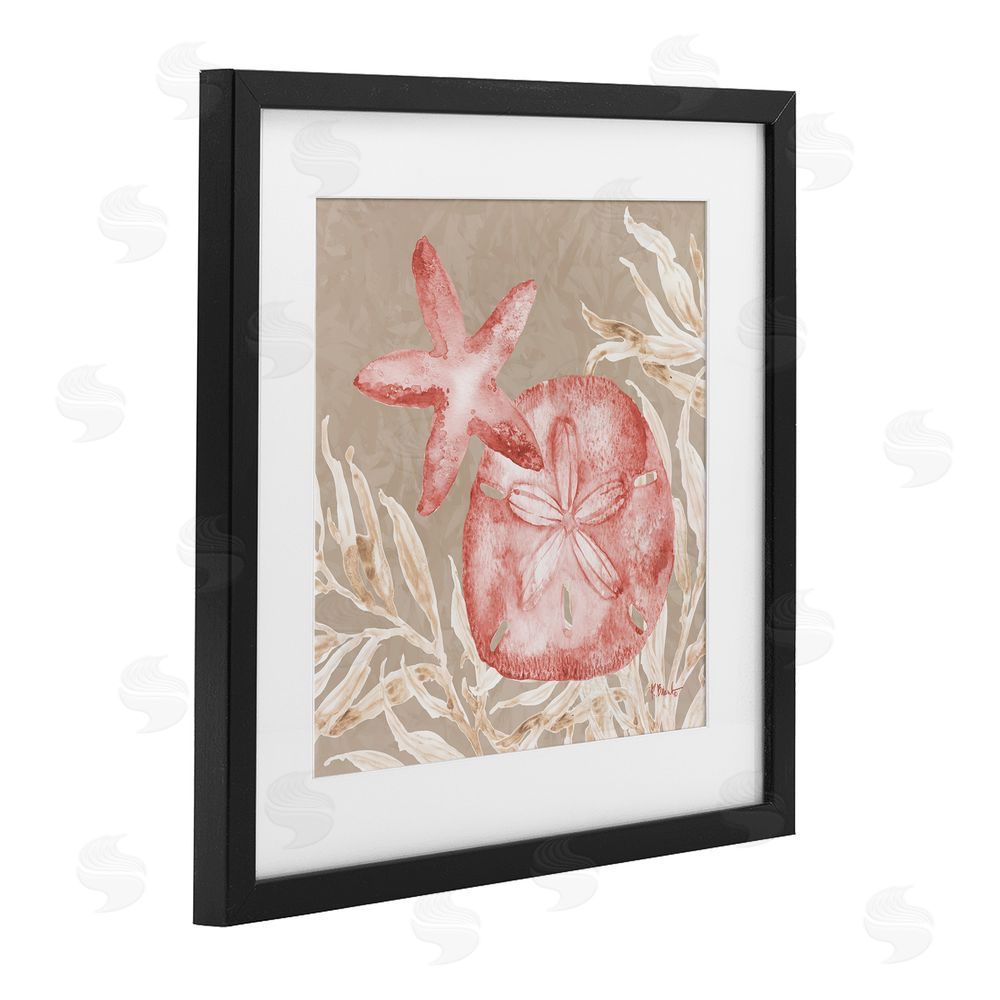 Paul Brent Tampico Starfish and Sand Dollar Black Framed Print Under Glass Art