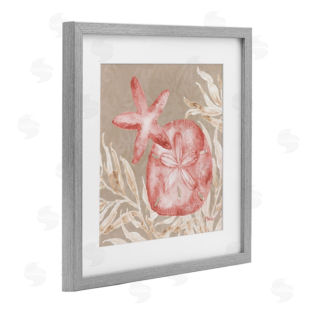 Paul Brent Tampico Starfish and Sand Dollar Gray Framed Print Under Glass Art