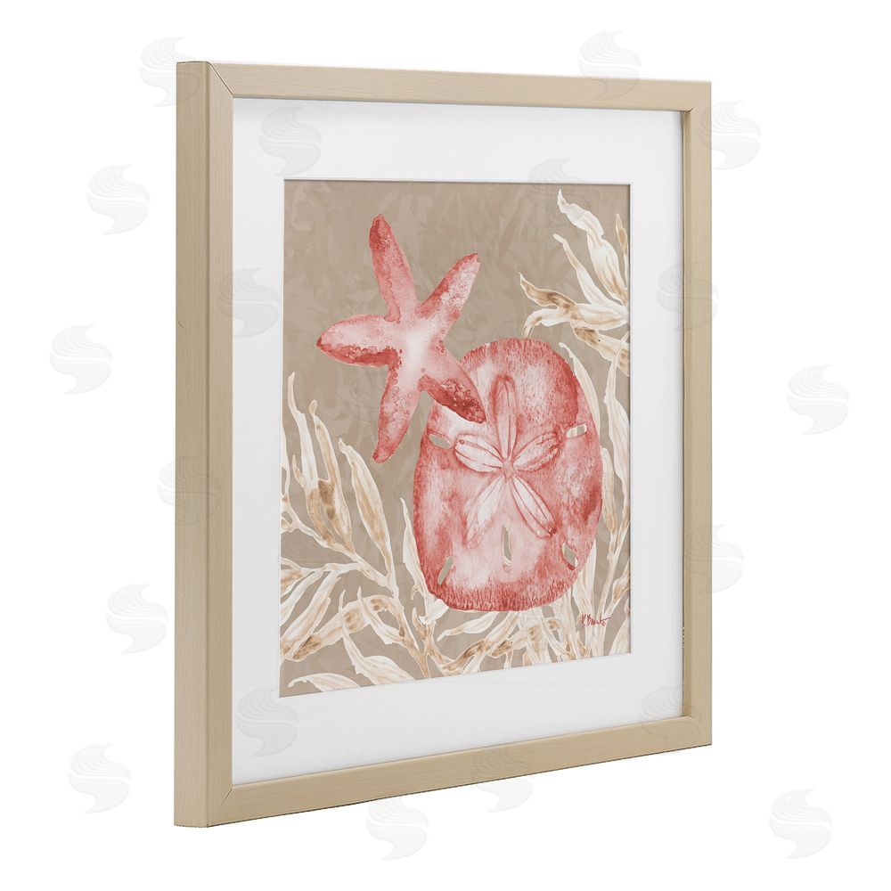 Paul Brent Tampico Starfish and Sand Dollar Birch Framed Print Under Glass Art