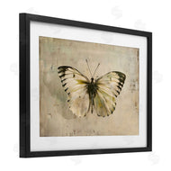 Creative Studio | Graceful Vintage Butterfly