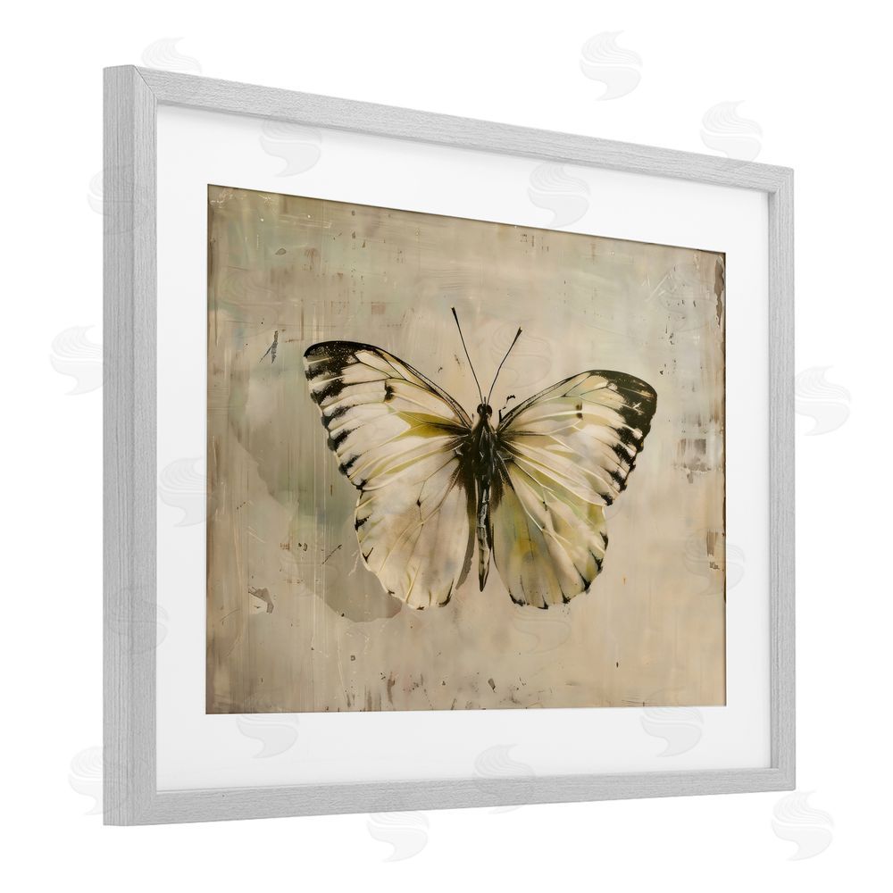 Creative Studio Graceful Vintage Butterfly Gray Framed Print Under Glass Art