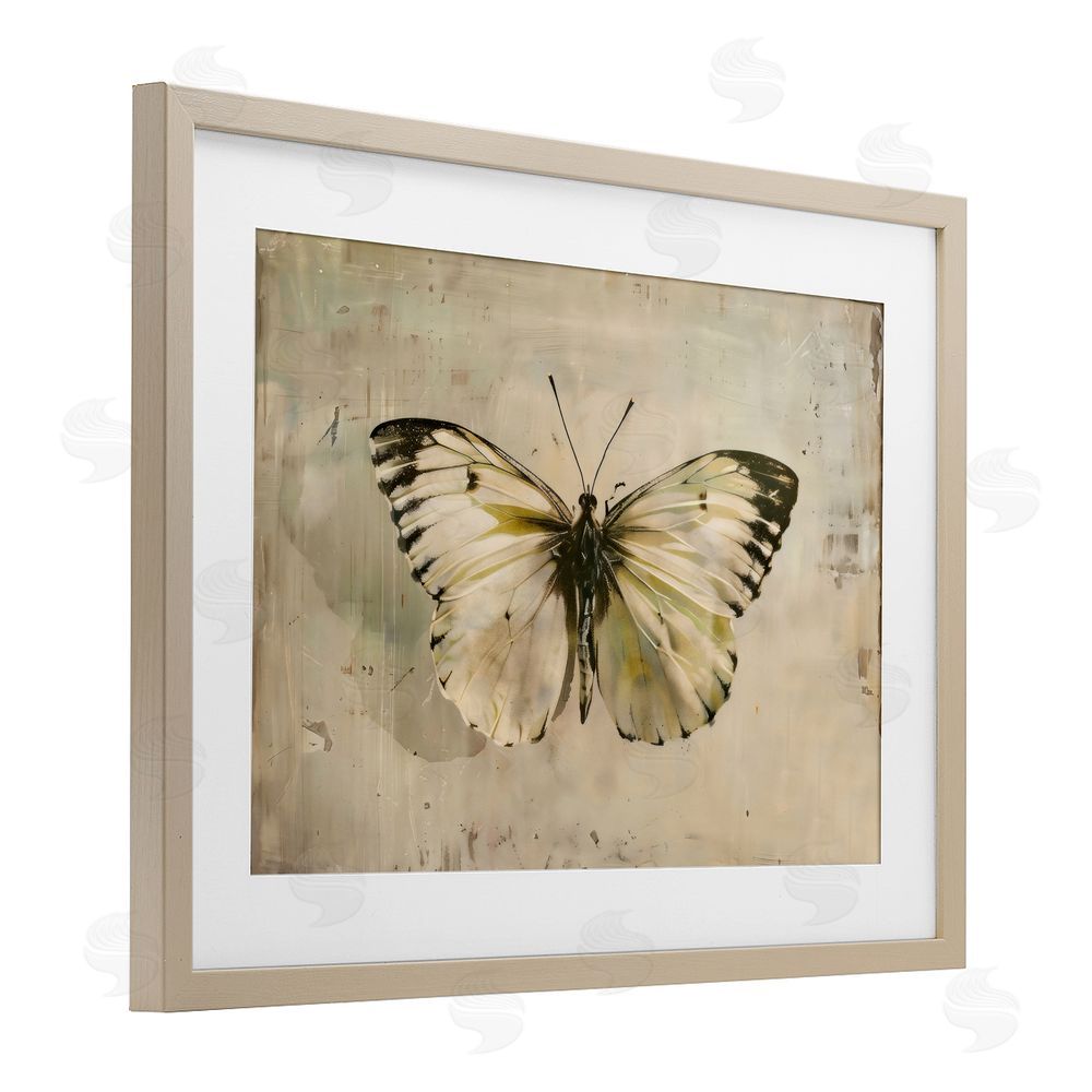 Creative Studio Graceful Vintage Butterfly Birch Framed Print Under Glass Art