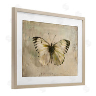 Creative Studio | Graceful Vintage Butterfly