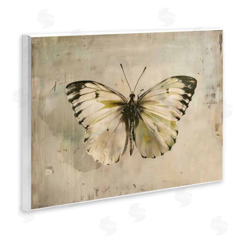 Creative Studio | Graceful Vintage Butterfly