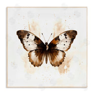 Creative Studio | Brown Washed Moth