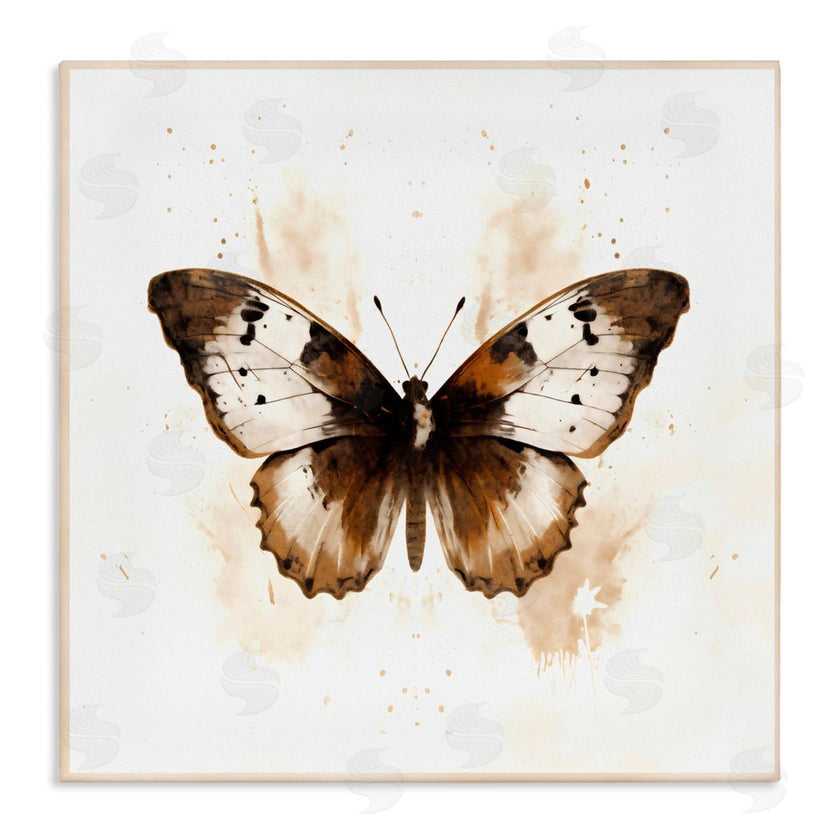 Creative Studio | Brown Washed Moth
