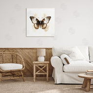 Creative Studio | Brown Washed Moth