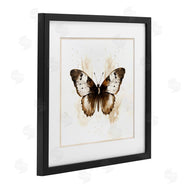 Creative Studio | Brown Washed Moth
