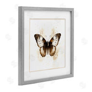 Creative Studio | Brown Washed Moth