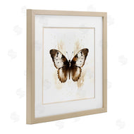 Creative Studio | Brown Washed Moth